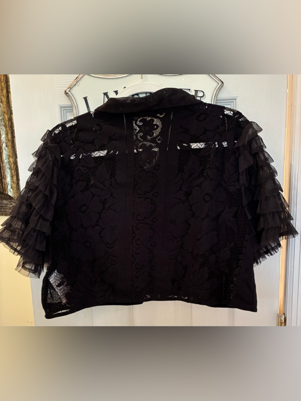 Free People, Madonna, Black Lace Sheer Ruffle Sleeve Cropped Top - Picture 5 of 13